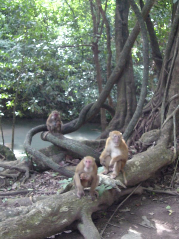 Travel - Thailand - Kanchanaburi - National Park